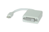 Mini DisplayPort to DVI Adapters 